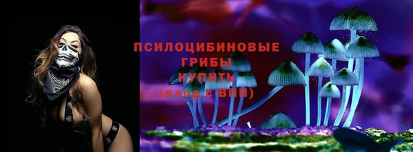 apvp Алексин
