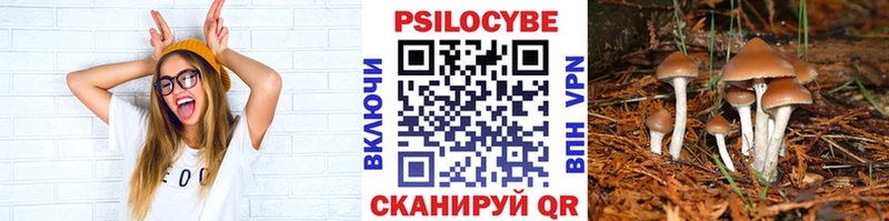 Псилоцибиновые грибы мухоморы магазин наркотиков Красногорск