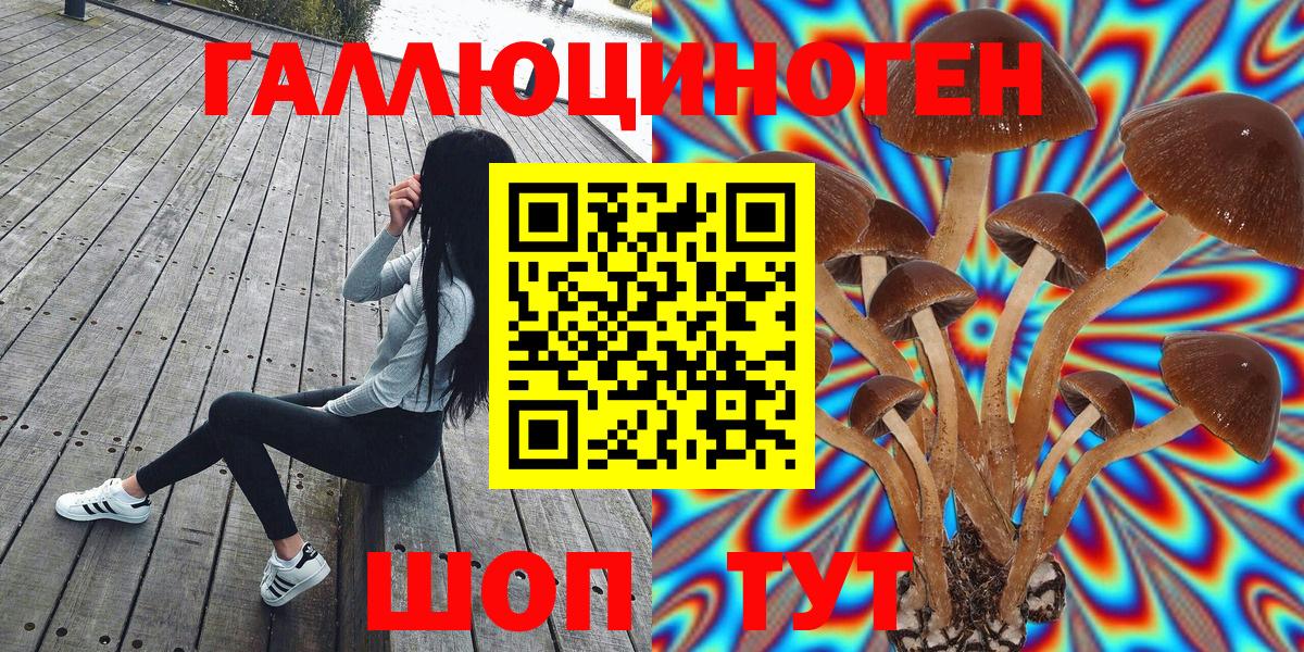 Псилоцибиновые грибы прущие грибы Красногорск