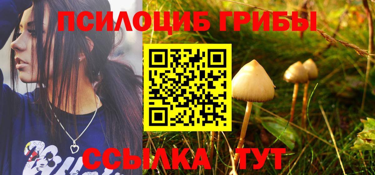 Галлюциногенные грибы GOLDEN TEACHER  Вход с VPN  Красногорск  Псилоцибиновые грибы мухоморы 